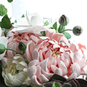 Flower作品：菊と胡蝶蘭